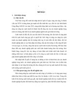 Giải pháp nâng cao năng lực cạnh tranh của công ty pepsico tại TP HCM 