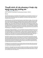 Thuyết minh về cây phượng vĩ hoặc cây bàng trong sân trường em