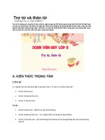 Trợ từ và thán từ