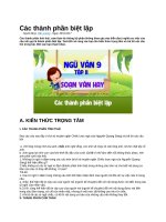 Các thành phần biệt lập