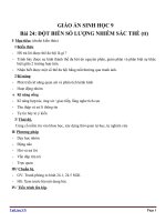 Giáo án Sinh học 9 bài 24: Đột biến số lượng nhiễm sắc thể (tiếp theo)