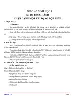 Giáo án Sinh học 9 bài 26: Thực hành nhận biết một vài dạng đột biến