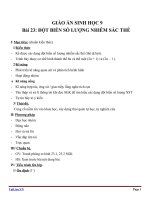 Giáo án Sinh học 9 bài 23: Đột biến số lượng nhiễm sắc thể