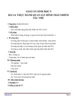 Giáo án Sinh học 9 bài 14: Thực hành Quan sát hình thái nhiễm sắc thể