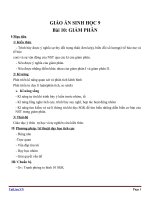 Giáo án Sinh học 9 bài 10: Giảm phân