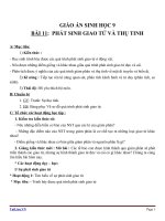 Giáo án Sinh học 9 bài 11: Phát sinh giao tử và thụ tinh