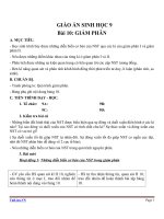 Giáo án Sinh học 9 bài 10: Giảm phân
