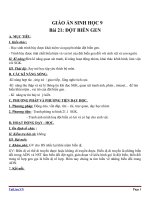 Giáo án Sinh học 9 bài 21: Đột biến gen