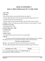 Giáo án Sinh học 9 bài 11: Phát sinh giao tử và thụ tinh