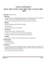 Giáo án Sinh học 9 bài 26: Thực hành nhận biết một vài dạng đột biến