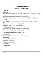 Giáo án Sinh học 9 bài 10: Giảm phân