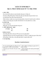 Giáo án Sinh học 9 bài 11: Phát sinh giao tử và thụ tinh