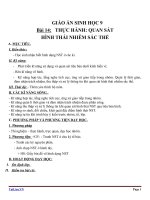 Giáo án Sinh học 9 bài 14: Thực hành Quan sát hình thái nhiễm sắc thể