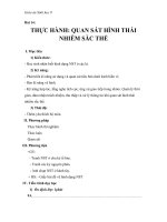 Giáo án Sinh học 9 bài 14: Thực hành Quan sát hình thái nhiễm sắc thể