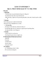 Giáo án Sinh học 9 bài 11: Phát sinh giao tử và thụ tinh