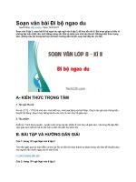 Soạn văn bài đi bộ ngao du