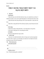 Giáo án Sinh học 9 bài 26: Thực hành nhận biết một vài dạng đột biến