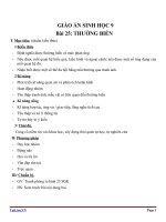 Giáo án Sinh học 9 bài 25: Thường biến