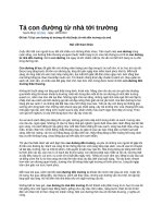 Tả con đường từ nhà tới trường