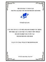 Các yếu tố của văn hóa doanh nghiệp tác động đến hiệu quả làm việc của nhân viên thuộc doanh nghiệp nhà nước tại thành phố hồ chí minh 