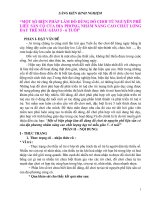 SKKN M - NGA 2017 - 2018