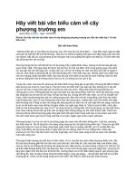 Hãy viết bài văn biểu cảm về cây phượng trường em