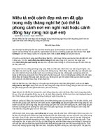 Miêu tả một cảnh đẹp mà em đã gặp trong mấy tháng nghỉ hè