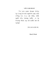 Xây dựng hệ thống chính trị cơ sở vững mạnh trên địa bàn tây nguyên hiện nay 