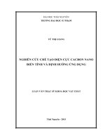 Nghiên cứu chế tạo điện cực cacbon nano biến tính và định hướng ứng dụng 
