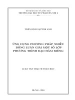 Ứng dụng phương pháp nhiễu đồng luân giải một số lớp phương trình đạo hàm riêng_2