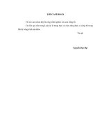 Tác động của đầu tư trực tiếp nước ngoài FDI tới giảm nghèo tại Việt Nam_2