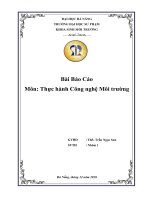 Bài Báo Cáo  Môn: Thực hành Công nghệ Môi trường