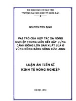 Vai trò của hợp tác xã nông nghiệp trong liên kết xây dựng cánh đồng lớn sản xuất lúa ở vùng Đồng bằng sông Cửu Long_2