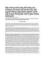 Hãy chứng minh rằng đời sống của chúng ta sẽ bị tổn hại rất lớn nếu mỗi người không chấp hành nghiêm chỉnh luật lệ giao thông đặc biệt là giao thông đường bộ