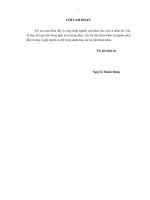 Tổ chức hệ thống thông tin kế toán quản trị chi phí trong các doanh nghiệp viễn thông Việt Nam_2