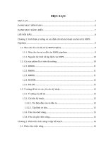 Thiết kế Vi xử lý MIPS pipelines