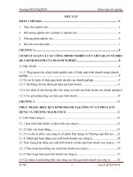 Một số giải pháp nhằm nâng cao hiệu quả kinh doanh của công ty cổ phần Xây dựng và Thương mại HAVICO