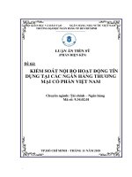 Kiểm soát nội bộ hoạt động tín dụng tại các ngân hàng thương mại cổ phần Việt Nam_2