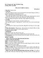 Giáo án Ông gài và Biển cả soạn theo 5 hoạt động