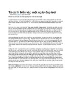 Tả cảnh biển vào một ngày đẹp trời