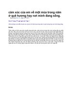 cảm xúc của em về một mùa trong năm ở quê hương hay nơi mình đang sống