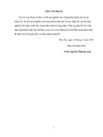 Nghiên cứu hành vi tiêu dùng của khách du lịch nội địa tại Khu di tích lịch sử Đền Hùng