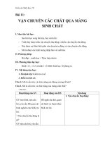 Giáo án Sinh học 10 bài 11: Vận chuyển các chất qua màng sinh chất