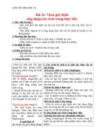 Giáo án Sinh học 10 bài 31: Virut gây bệnh. Ứng dụng của virut trong thực tiễn