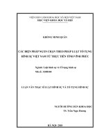 Các biện pháp ngăn chặn theo pháp luật tố tụng hình sự Việt Nam từ thực tiễn tỉnh Vĩnh Phúc (Luận văn thạc sĩ)