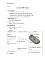 Giáo án Sinh học 10 bài 9: Tế bào nhân thực (tiếp theo)