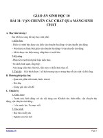 Giáo án Sinh học 10 bài 11: Vận chuyển các chất qua màng sinh chất