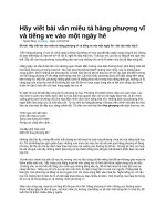Hãy viết bài văn miêu tả hàng phượng vĩ và tiếng ve vào một ngày hè