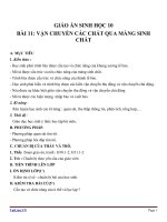 Giáo án Sinh học 10 bài 11: Vận chuyển các chất qua màng sinh chất