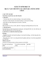 Giáo án Sinh học 10 bài 11: Vận chuyển các chất qua màng sinh chất